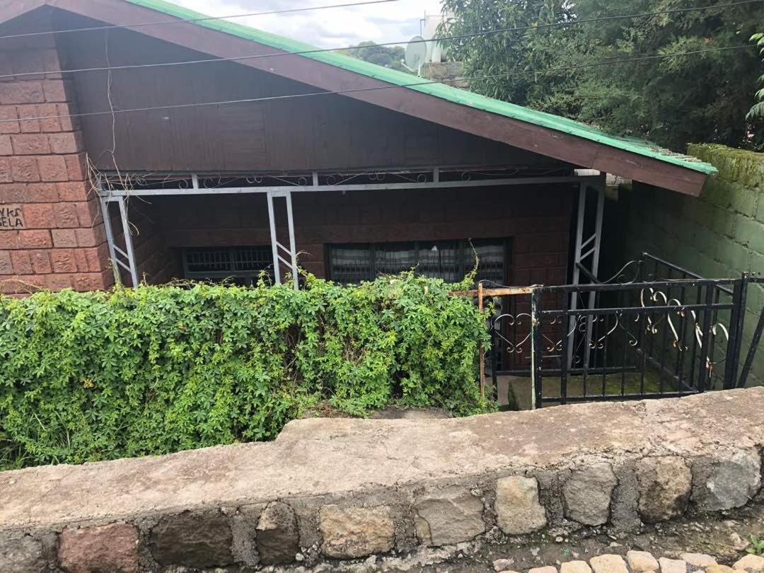 King Lalibela Homestay Extérieur photo